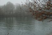 brouillard-004.jpg