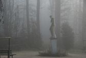 brouillard-028.jpg