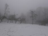 brouillard250119-004.jpg