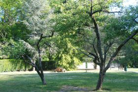 foret060522-004.jpg
