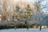 foret091217-006.jpg