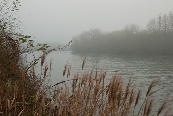 brouillard-001.jpg