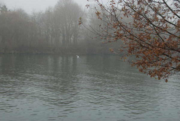 brouillard-005.jpg