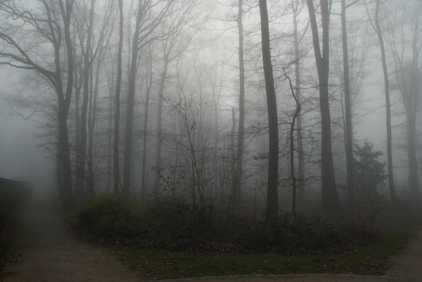 brouillard-010.jpg