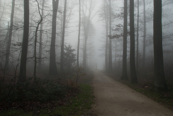 brouillard-011.jpg