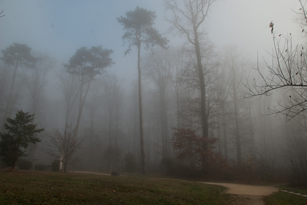 brouillard-022.jpg