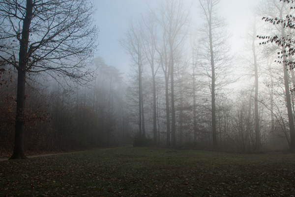 brouillard-026.jpg