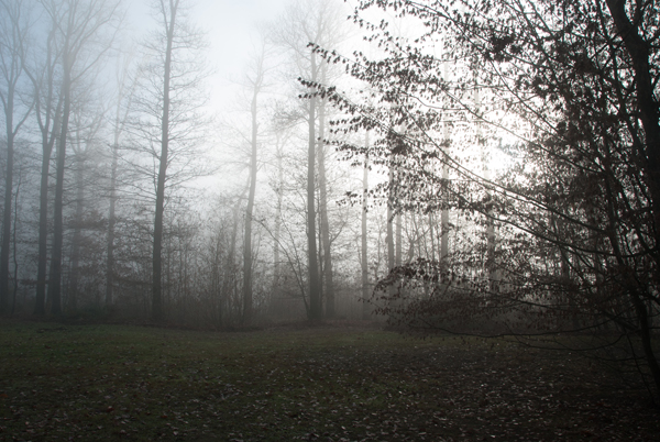 brouillard-027.jpg