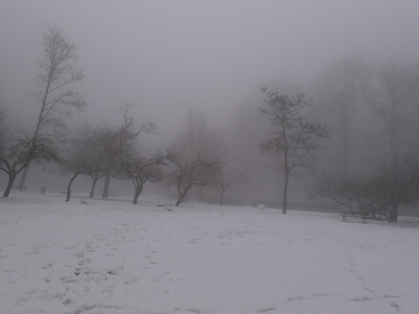 brouillard250119-004.jpg