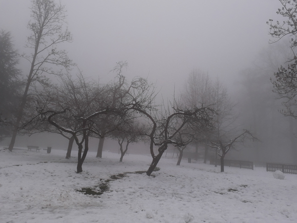 brouillard250119-005.jpg