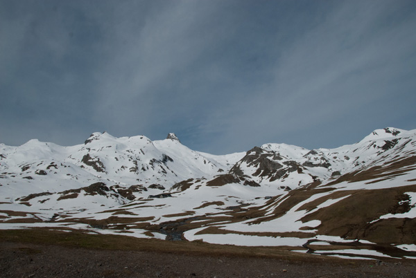 colpyr_7540.jpg