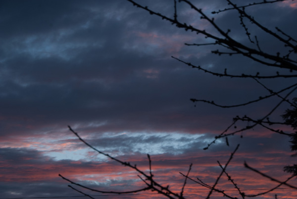 couchersoleil_8743.jpg