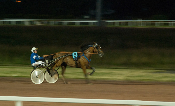 insocheval-144.jpg
