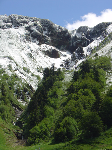 mont-sancy-07730.jpg