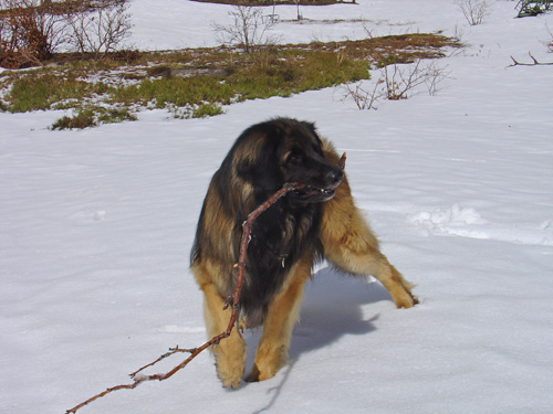 mont-sancy191.jpg