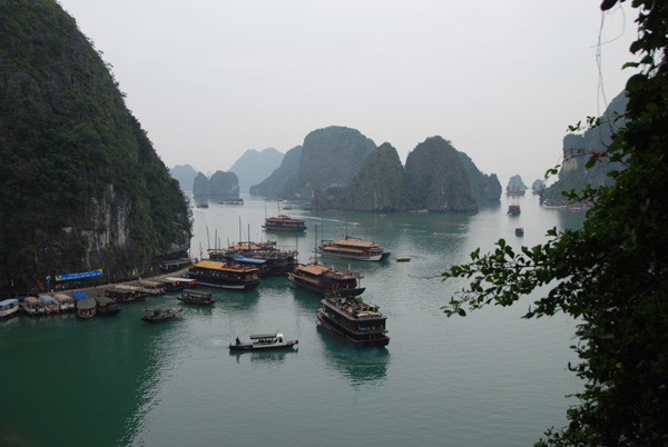 vietpayn-231.jpg