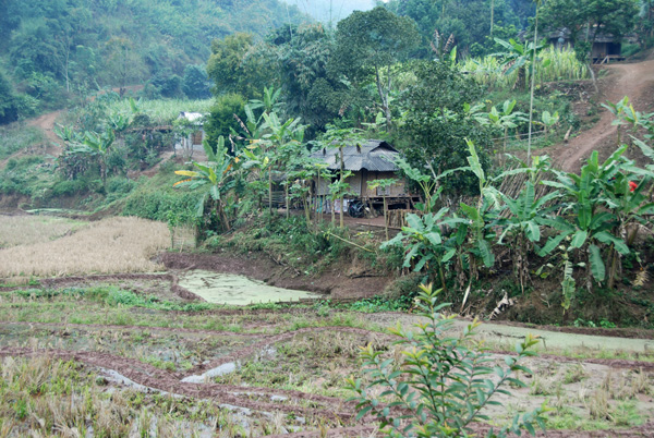vietpayn-531.jpg