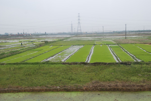 vietrizn-116.jpg
