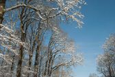 neige200318-001.jpg