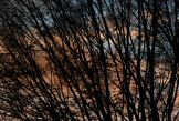 solev071115-019.jpg